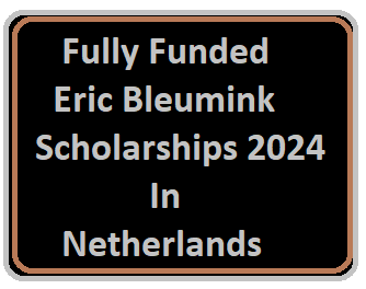 Fully Funded Eric Bleumink Scholarships 2024 In Netherlands